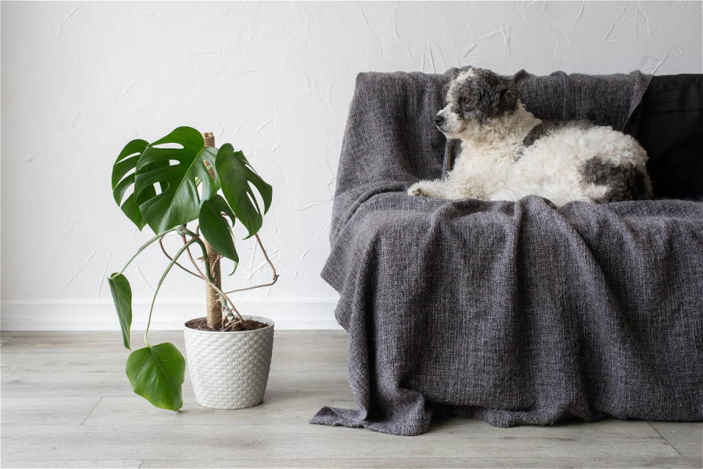 krasivye-i-sovremennye