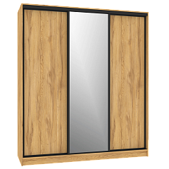 Шкаф-купе 2000 Домашний зеркало/лдсп