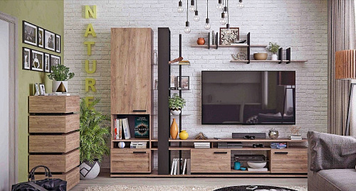 Гостиная  Nature 4