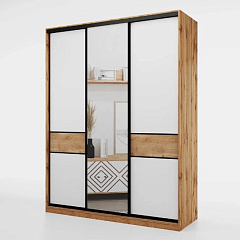 Шкаф-купе SLIM (СЛИМ) 221х60х230 DZD