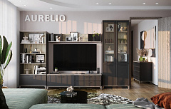 Гостиная  Aurelio  5