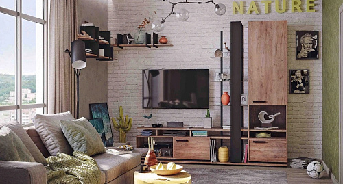 Гостиная  Nature 5
