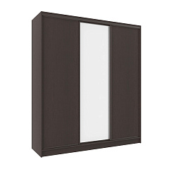 Шкаф-купе 2000 Домашний зеркало/лдсп