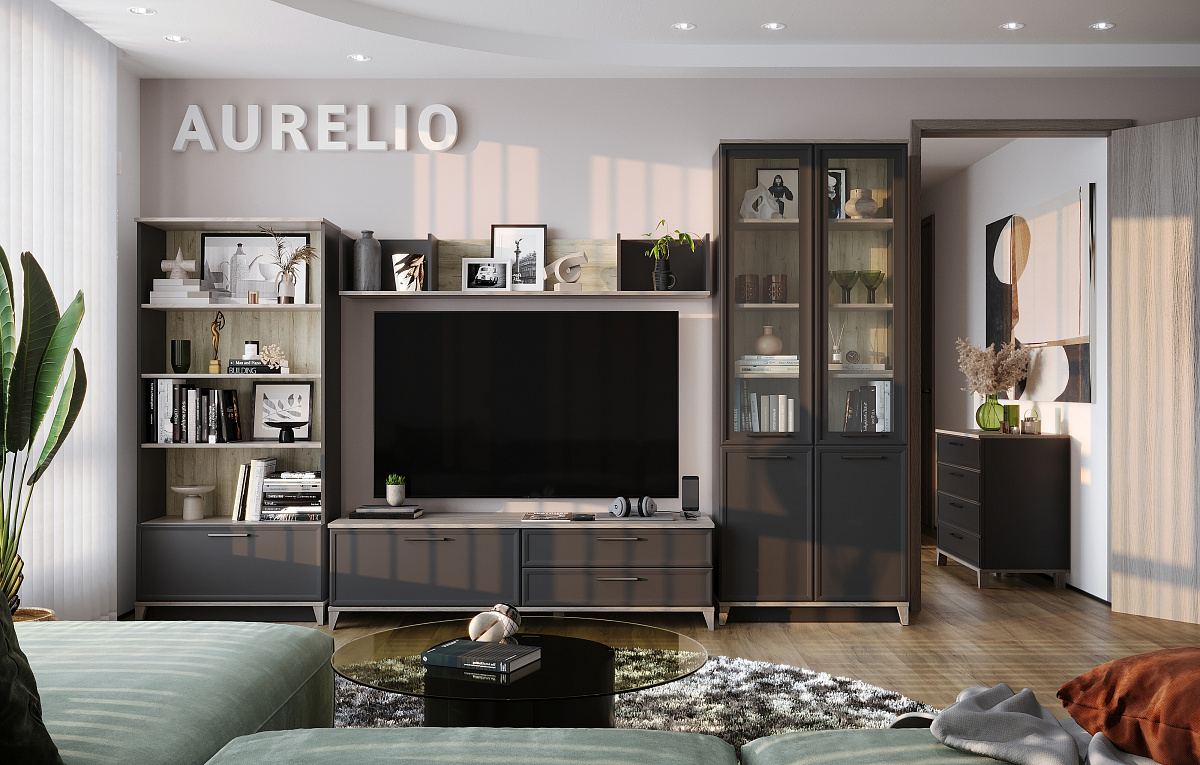 Гостиная  Aurelio  5