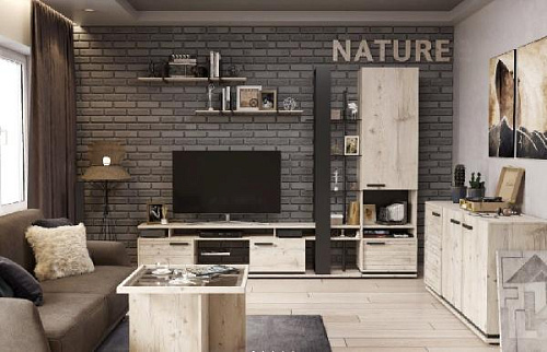 Гостиная  Nature 3