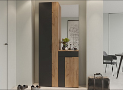 Асти Шкаф комбинированный