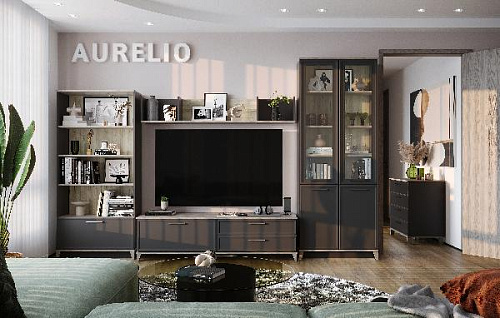 Гостиная  Aurelio  5