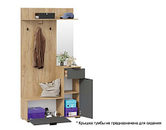 Эвита Секция комбинированная Тип 1