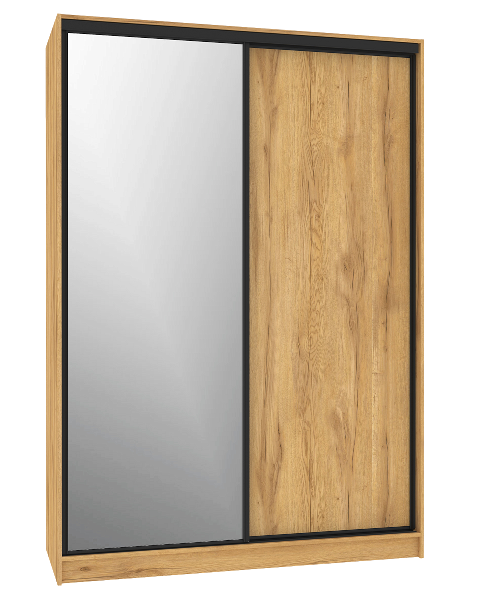 Шкаф-купе 1600 Домашний зеркало/лдсп