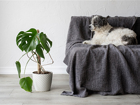 Как выбрать мебель, устойчивую к когтям и шерсти? Как выбрать мебель, устойчивую к когтям и шерсти?